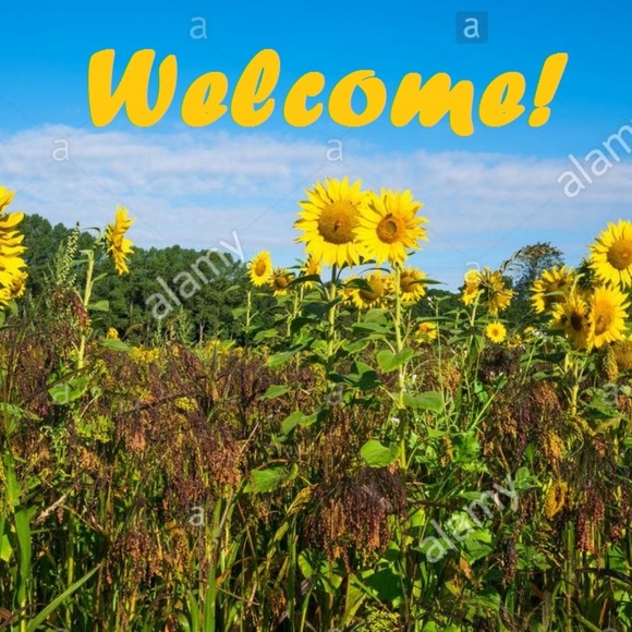 WELCOME to Mae's Closet! - Picture 2 of 3